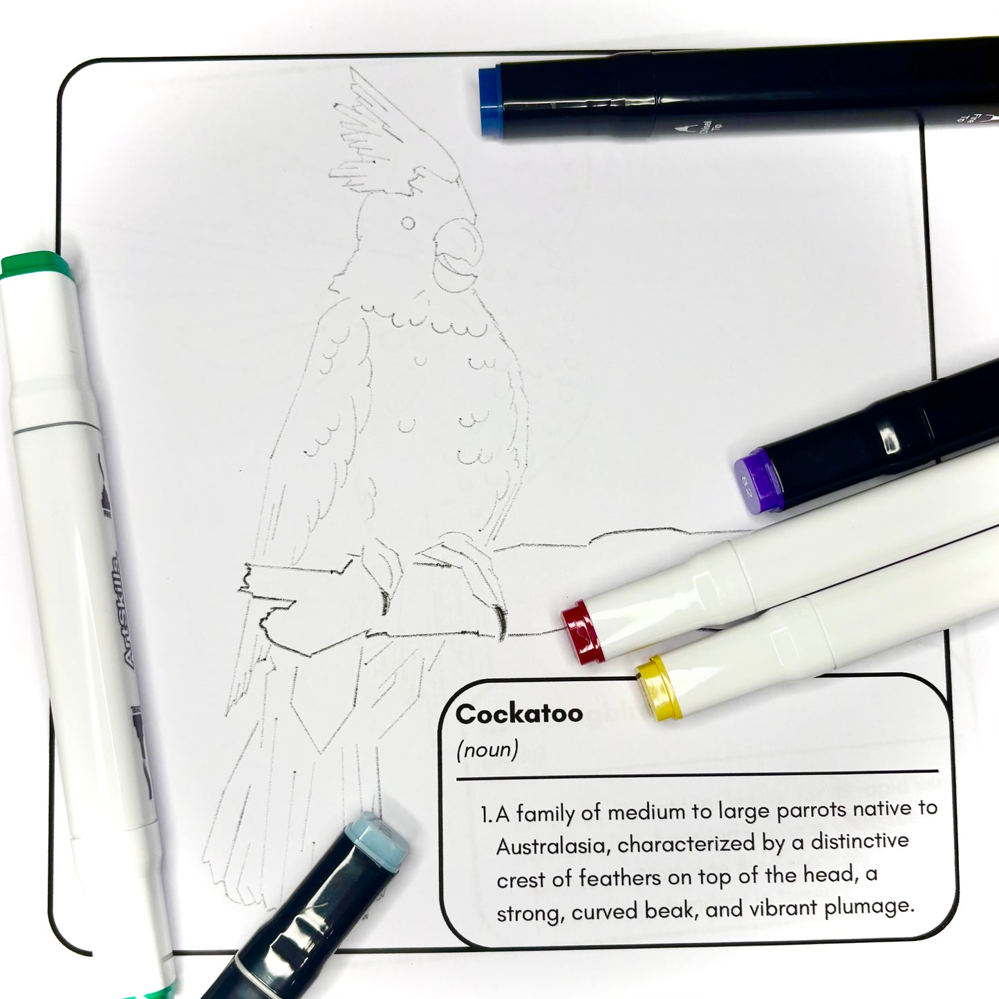 Amazing Birds of the World! - Digital Coloring Book