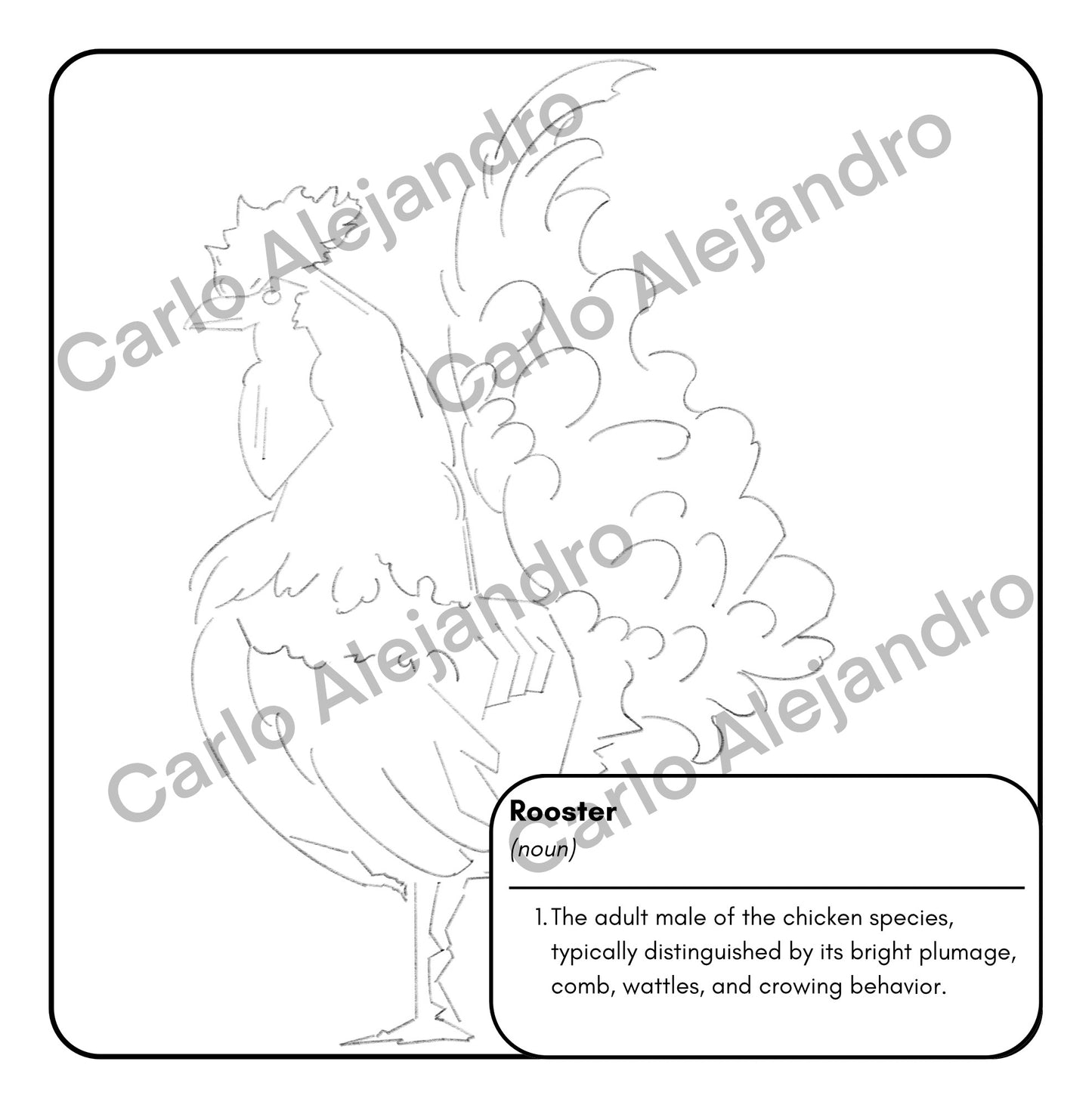 Amazing Birds of the World! - Digital Coloring Book