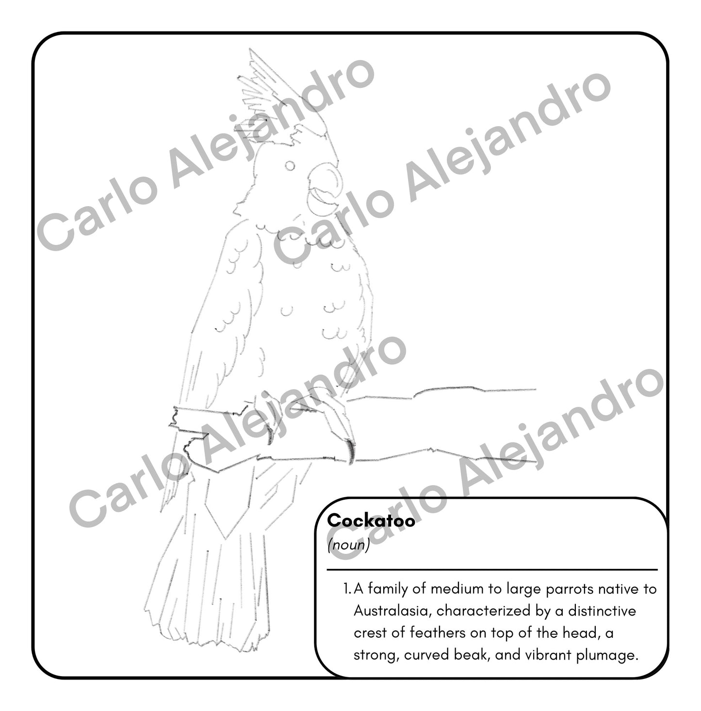 Amazing Birds of the World! - Digital Coloring Book