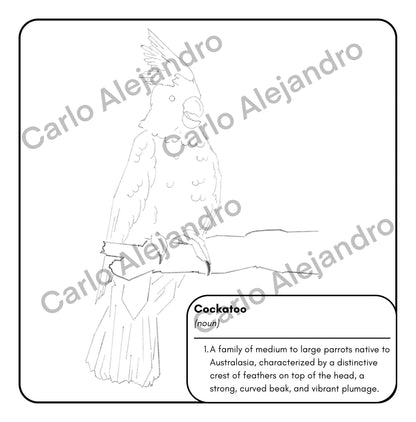 Amazing Birds of the World! - Digital Coloring Book